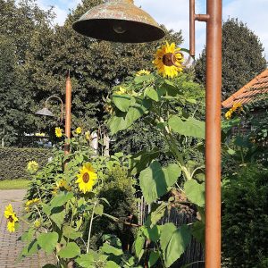 Lantaren paal 6cm, 3meter lang met landelijke lamp Original