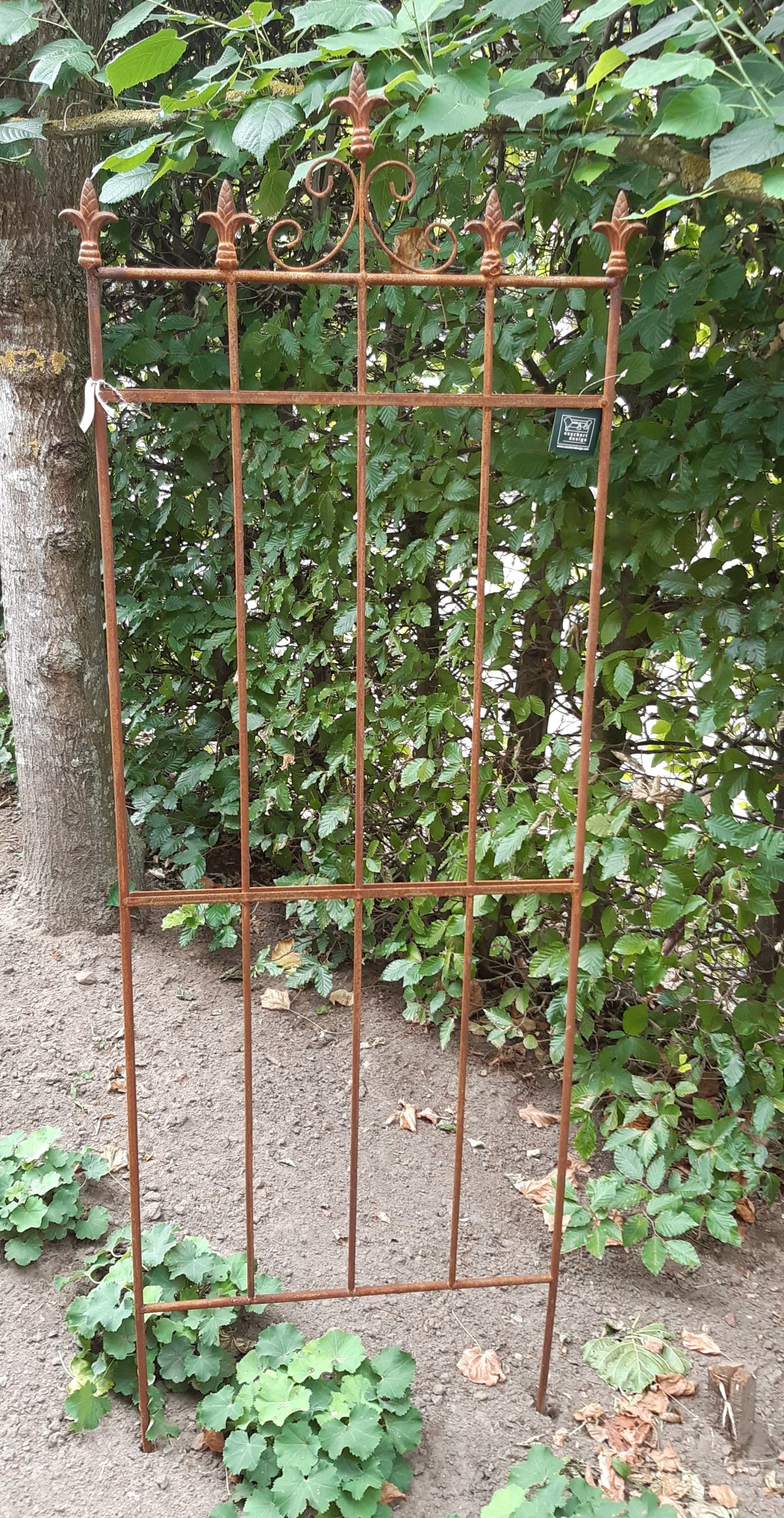 plantenrekje lelie
