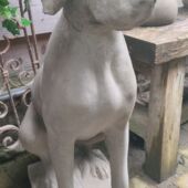 Stenen beeld van zittende hond - Afbeelding 1