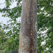 Gietijzeren paal 208cm hoog - Afbeelding 2