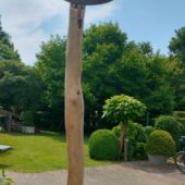 Lantaarnpaal Robinia - Afbeelding 3