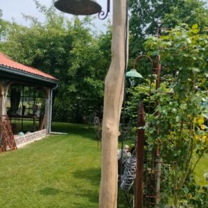 Lantaarnpaal Robinia