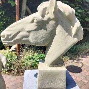 Stenen Paarden hoofd